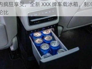 在车内疯狂享受，全新 XXX 牌车载冰箱，制冷效果无与伦比