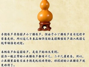 hlw32life 葫芦为什么如此受欢迎？有哪些方法可以更好地了解它？