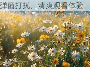 野花视频最新免费观看 3，热门影片抢先看，无广告弹窗打扰，清爽观看体验