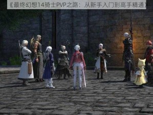 《最终幻想14骑士PVP之路：从新手入门到高手精通》