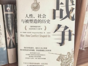 揭露战争真相：小队编辑的深度探索与思考