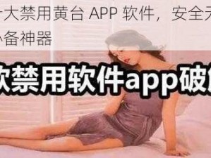 夜里十大禁用黄台 APP 软件，安全无广告，夜间必备神器