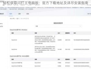 轻松获取闪打王电脑版：官方下载地址及详尽安装指南