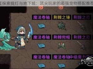 《探索提灯与地下城：顶尖玩家的最强宠物搭配推荐》