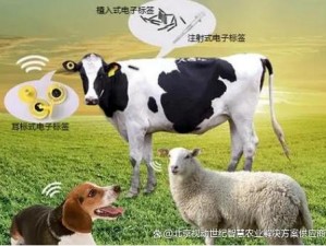 人与畜禽 corporation 中国：如何应对动物福利与食品安全的双重挑战？