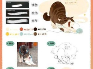 萌猫安装指南：配置说明与操作教程