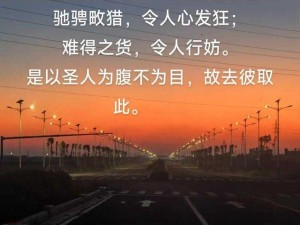 老子喜欢听你叫得大声——音响