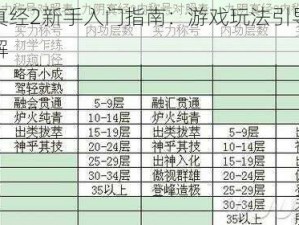 九阴真经2新手入门指南：游戏玩法引导与攻略详解