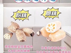 少女都市烹饪大解密：从食材挑选到烹饪技巧的全面指南