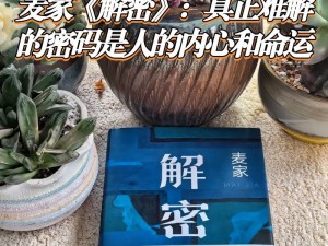 菲斯密码解密过程深度剖析：揭秘密码学背后的秘密与解密技巧详解