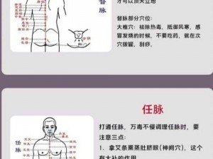 打通任督二脉秘法：揭秘古传经络养生之道，开启健康新境界