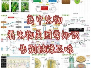 用自己举例，为学生生动介绍生物繁衍