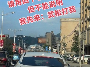 国产大逼,为什么你会提出这样的要求呢？