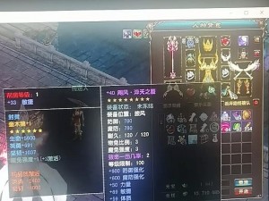 风云 ONLINE，一款由盛大网络开发的角色扮演游戏