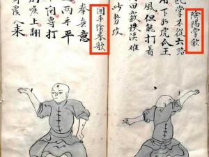 探索千年少林寺之玉龙杖传奇攻略：揭秘神秘传说与武林秘籍