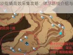 原神沙脂蛹高效采集攻略：详尽路线介绍与实战指南