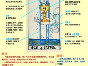 深度解析《血源》圣杯迷宫联机攻略：一步步引导你走出迷宫，成为胜利者