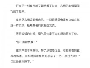 皇帝是个双被左相和右相，贴身衣物必须舒适又时尚