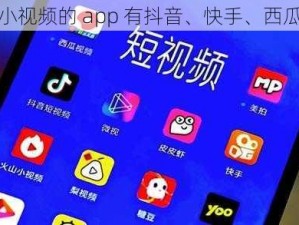 可以看小视频的 app 有抖音、快手、西瓜视频等