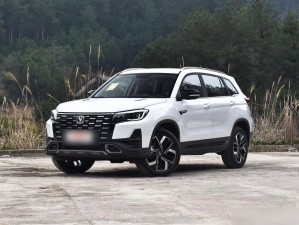 这款国产 SUV 精品一区，拥有时尚外观、强劲动力和丰富配置，是你的最佳出行伴侣