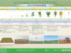 麻豆精产国品一二三产区区别【麻豆精产国品一二三产区有哪些区别？】