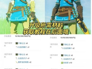 塞尔达传说：王国之泪英杰服获取全攻略