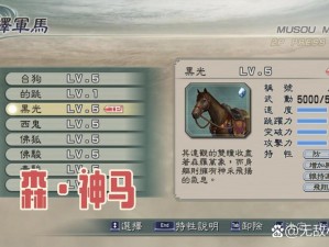 《真三国无双》神级操作财神2010蜀国心得：深度解析与策略分享