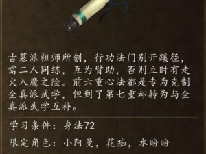 侠客风云传隐秘武功揭秘：获取方法与功效解析