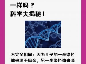 母亲和儿子的 DNA 一样吗？探究亲子关系的奥秘