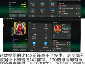 FIFA 13五星球员全方位展示：超卓实力一览无余