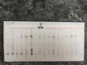 高分离度、高稳定性的 symmetryc18 色谱柱