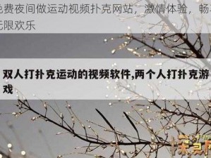 免费夜间做运动视频扑克网站，激情体验，畅享无限欢乐