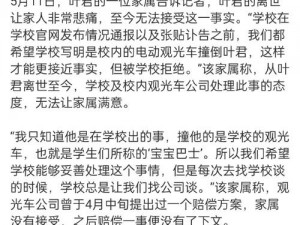 言教授要被撞坏了(言教授要被撞坏了女司机驾车失控冲向人群)