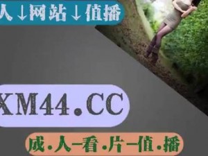 日韩 Y 无人区码卡二卡 3 卡，高品质资源，满足你的所有需求