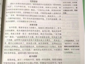 低头咬开她的小衣衣带作文——体验全新的舒适与性感