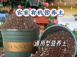 在大婶的肥沃的土地大婶肥沃的土地后加入产品介绍：优质营养土，让植物茁壮成长