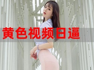 日本成人 xxx 视频是否会泄露隐私？