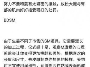 惩罚往受的菊花塞生姜,惩罚往受的菊花塞生姜：探索新奇性体验的危险与风险