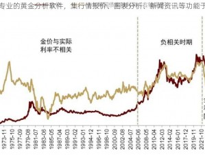 一款专业的黄金分析软件，集行情报价、图表分析、新闻资讯等功能于一身