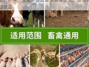 畜禽和人类 AA 高品质生物发酵饲料，绿色、环保、安全，促进畜禽健康生长，提高养殖效益