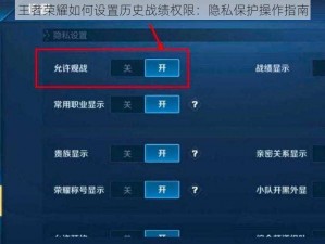 王者荣耀如何设置历史战绩权限：隐私保护操作指南