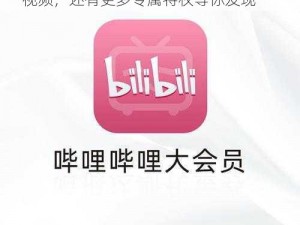 BILIBILI 大会员：畅享无广告、高品质视频，还有更多专属特权等你发现