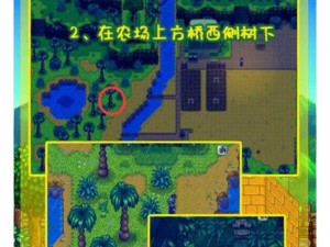 星露谷物语姜岛探险全面攻略：解锁隐藏任务捕捉珍稀物品与打造个性化农场体验