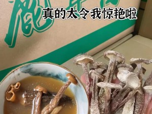 国精产品蘑菇一区一区有限，一款备受赞誉的高品质视频软件