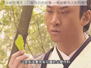 《少年包青天：门客背后的故事——揭秘鲜为人知的细节》