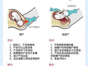 国产一产区二产区;国产一产区和二产区有什么区别？