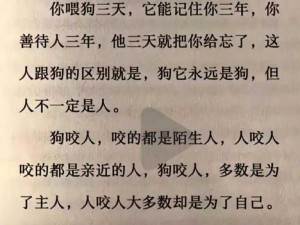 和狗干了3年,和狗干了 3 年，我经历了什么？