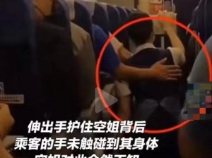 乘客性侵空姐为何不实？怎样还原事件真相？