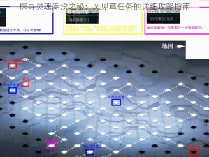 探寻灵魂潮汐之秘：风见草任务的详细攻略指南