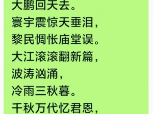 九九归一，尽在精品九九视频中